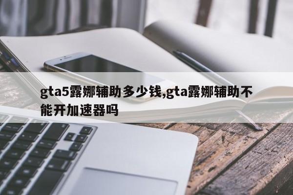 gta5露娜辅助多少钱,gta露娜辅助不能开加速器吗